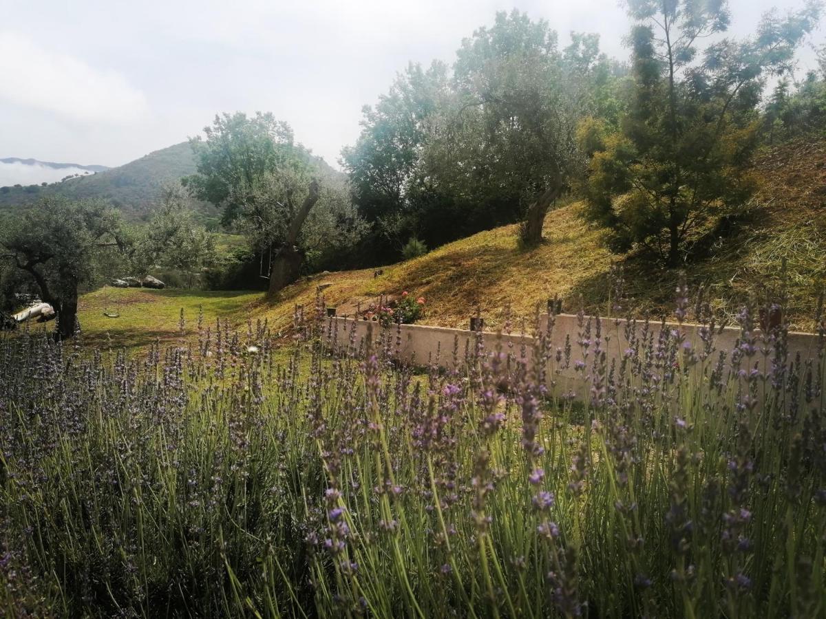 L'Opuntia Sul Lago Caccamo Kültér fotó